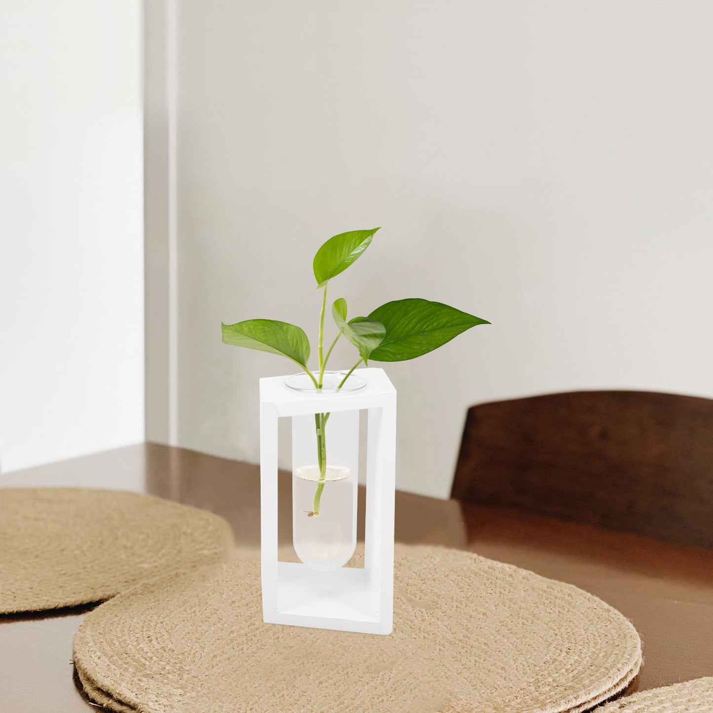 GALPADA Wooden Frame Test Tube Glass Vase for Small Terrarium Plants, Hydroponic Propagation Station with White Holder, Glass Desk Planter for Indoor Plant Cuttings and Home Décor
