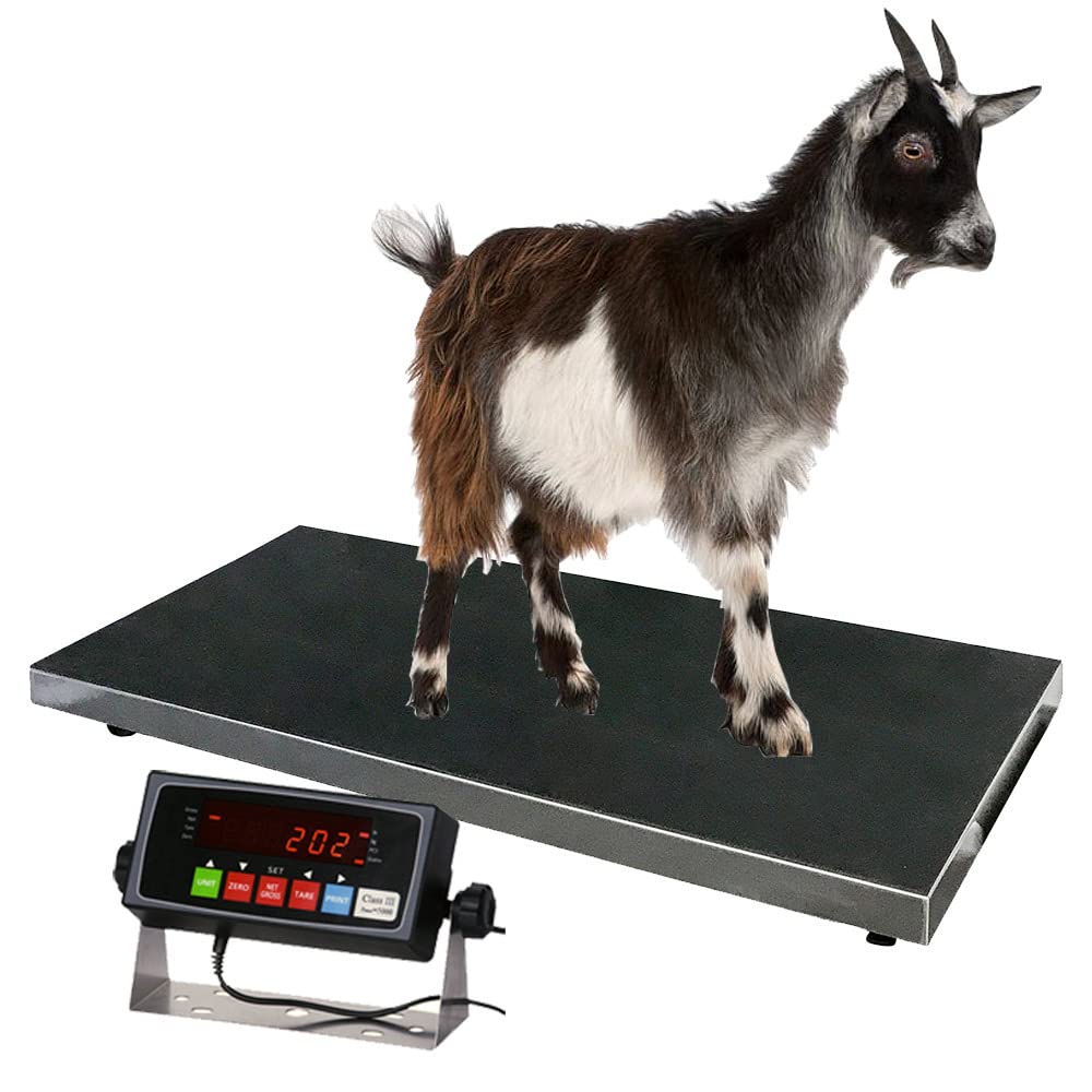 PEC Scales 700lbs Vet Animal Scale/Livestock Scale, Digital Weighing Equipment for Small to Medium Sized Animals Calf/Goat/Sheep/Pigs/Dogs/Cat or Pets (38″ x 20″ x 2″)