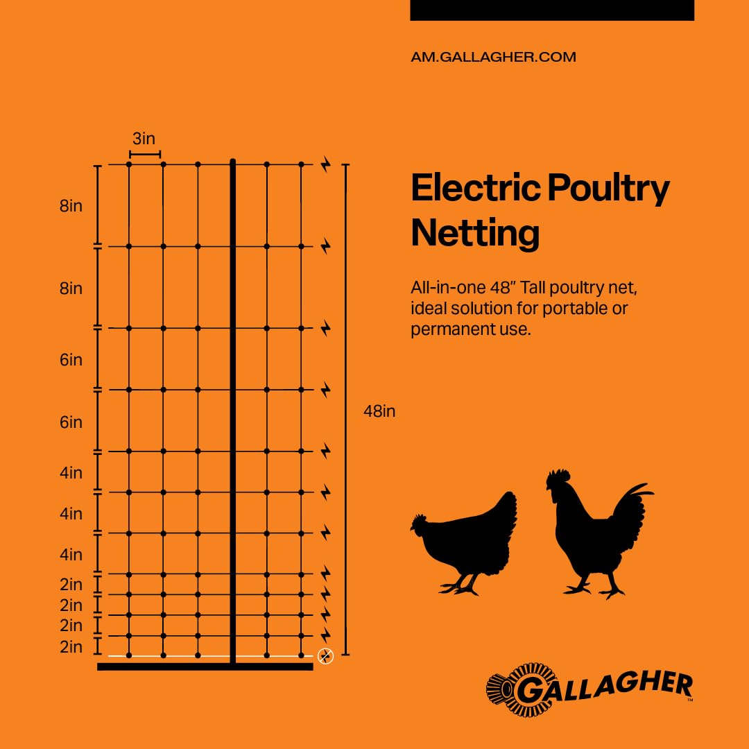 Gallagher S20 Solar Fence Charger + 48in x 82ft Poultry Netting Bundle | Portable Electric Fence System for Chickens, Garden Protection & Predator Exclusion | Solar Energizer with Rechargeable Battery