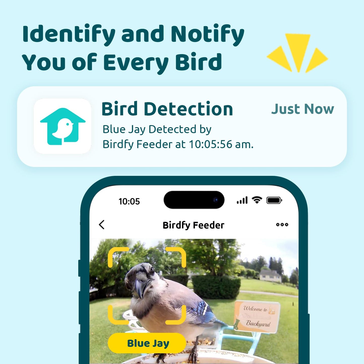 NETVUE Birdfy® Hummee Smart Hummingbird Feeder with Camera, Included Solar Panel & Shield, Auto Capture Bird Videos & Birdwatching Up-Close, 2 in 1 Feeders Attract More Hummingbirds