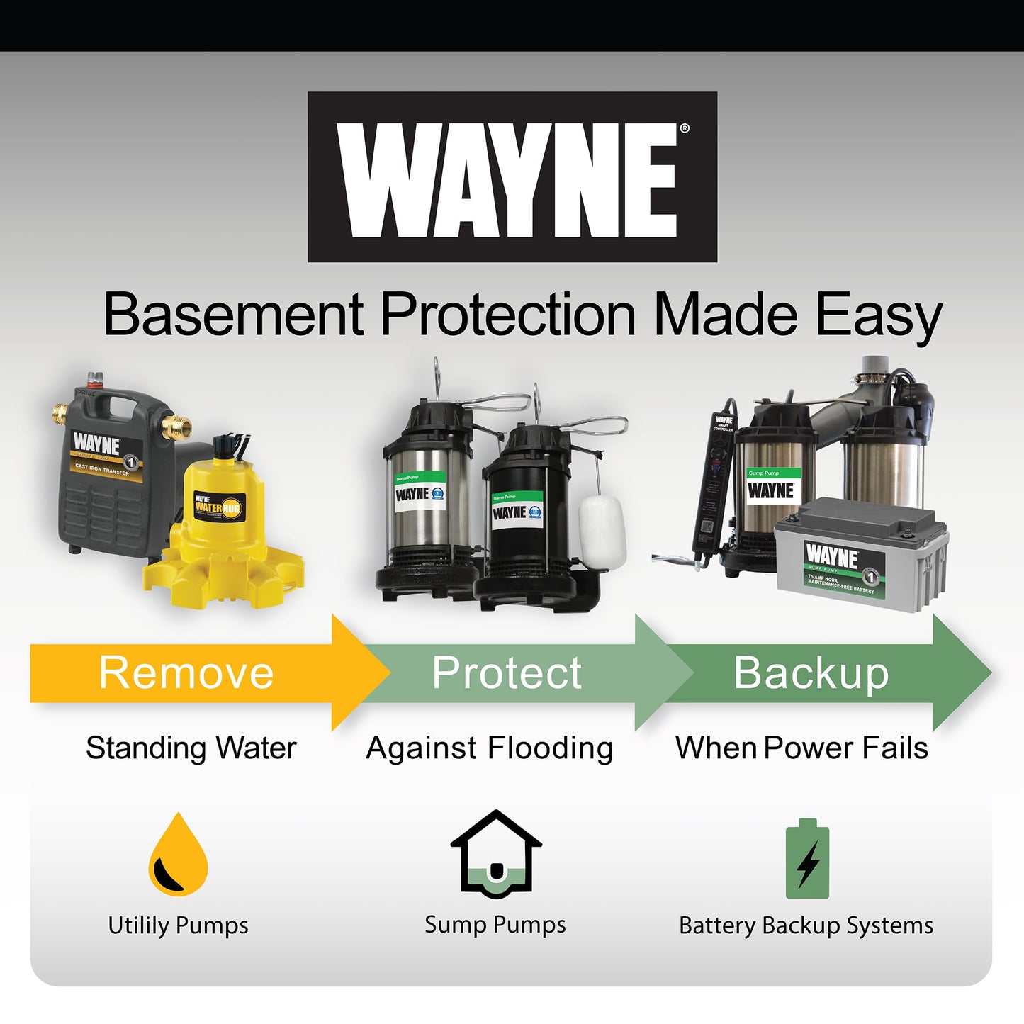 WAYNE PC4 1/2 HP Cast Iron Multi-Purpose Transfer Pump – Non-Submersible Utility Water Pump with Suction Strainer, Model 55832