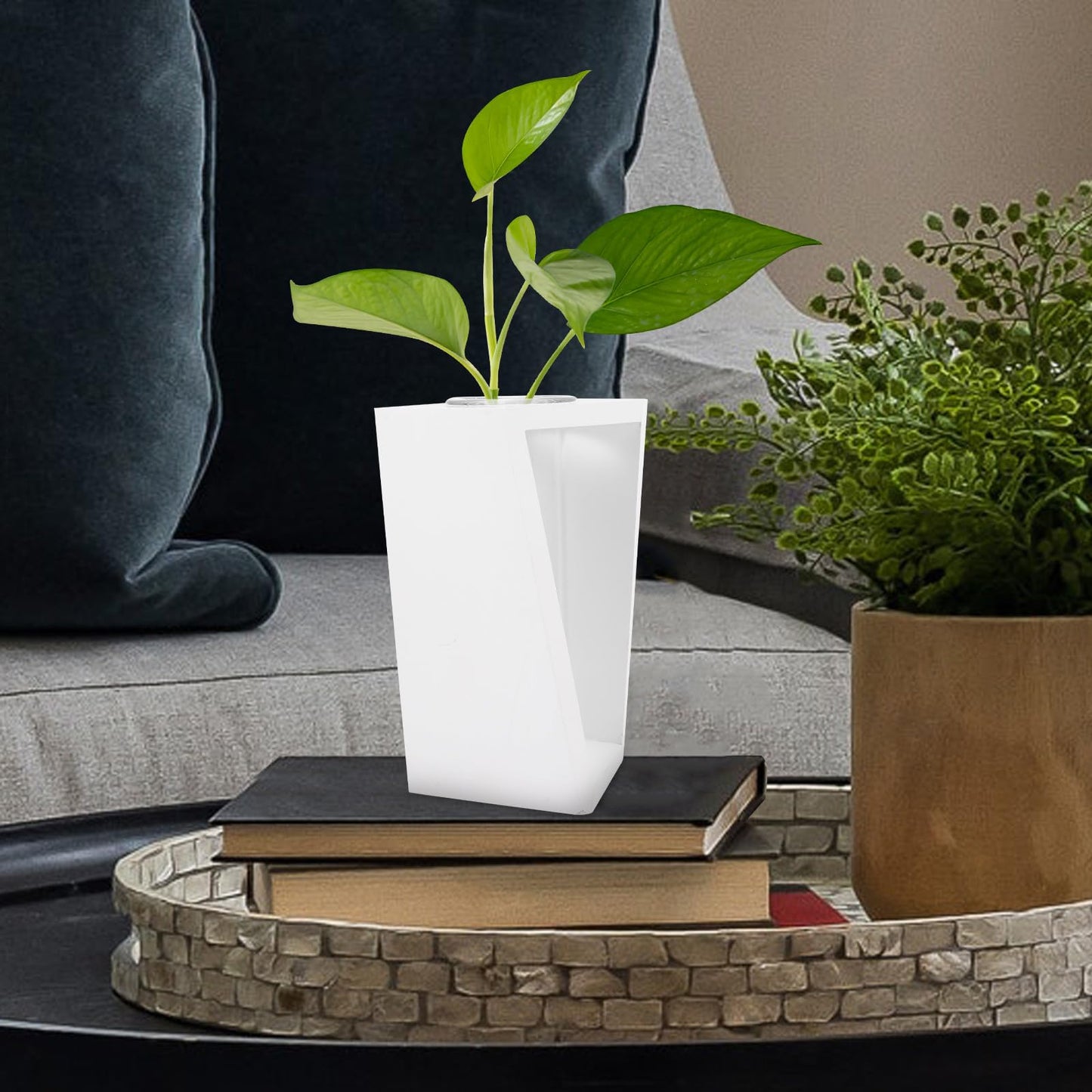 Healifty Glass Test Tube Vase with White Wooden Rack, Hydroponic Plant Propagation Station for Home Décor, Succulent Terrarium Planter for Desk and Tabletop Display