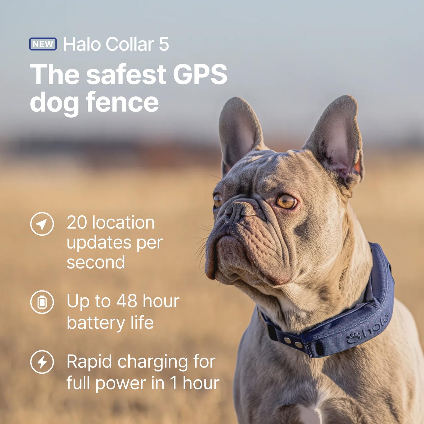 Halo Collar 5 Wireless Dog Fence & GPS Dog Collar, Keep Your Dog Safely Contained Outdoors with App-Controlled Boundaries and Real-Time Tracking, One Size, Blaze