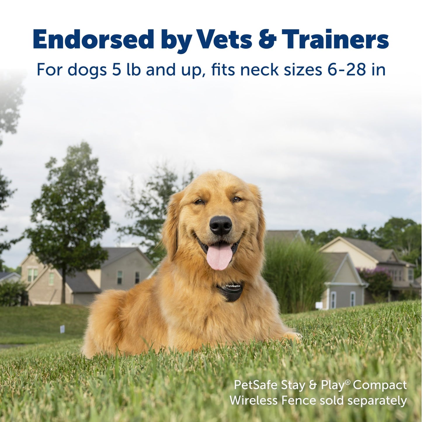 PetSafe Stay & Play Wireless Fence Receive Collar - Rechargeable and Waterproof Receiver Collar with Quick Charge in 2-3 Hours - for Dogs 5lb+