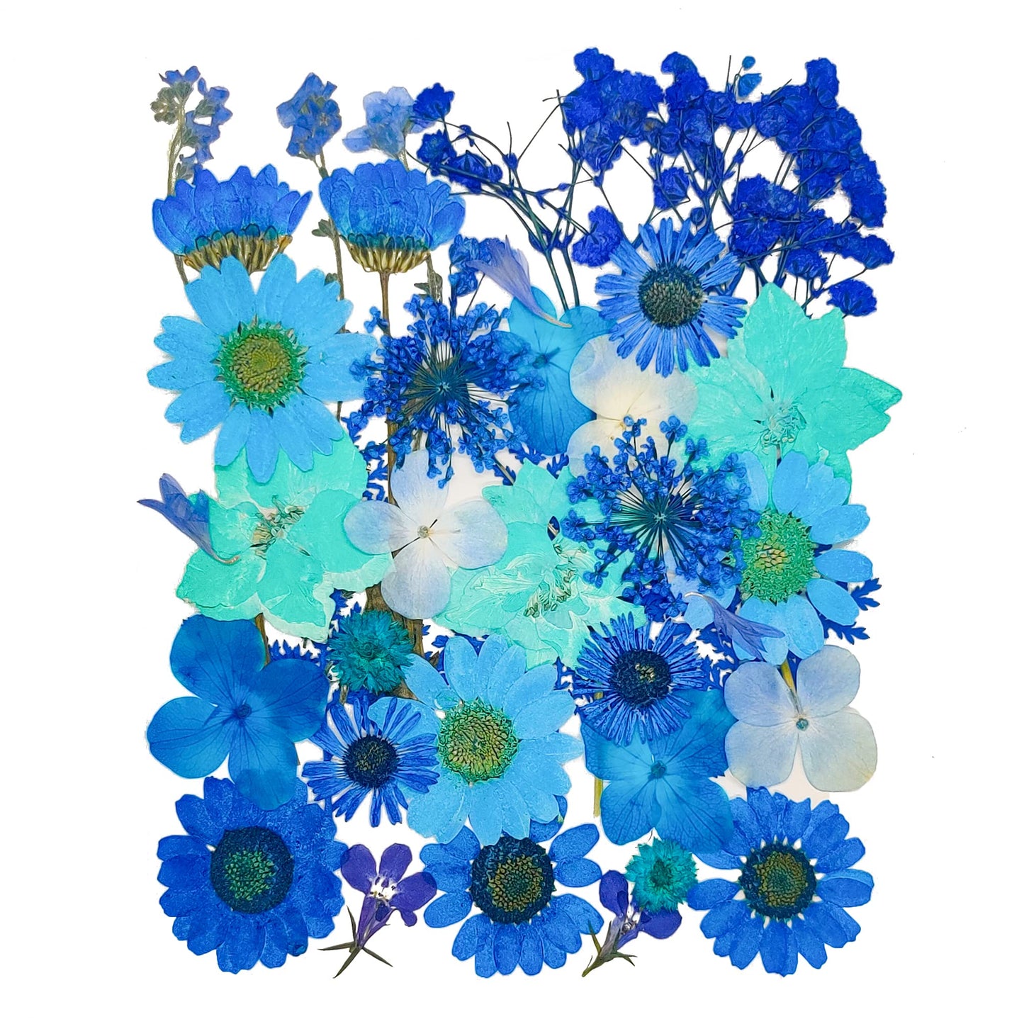 320PCS Dried Pressed Flowers Bulk for Resin, YouthBro Real Natural Pressing Flowers with Two Sheets Butterfly Stikers for Mold DIY Art Crafts,Home Décor,Cherish