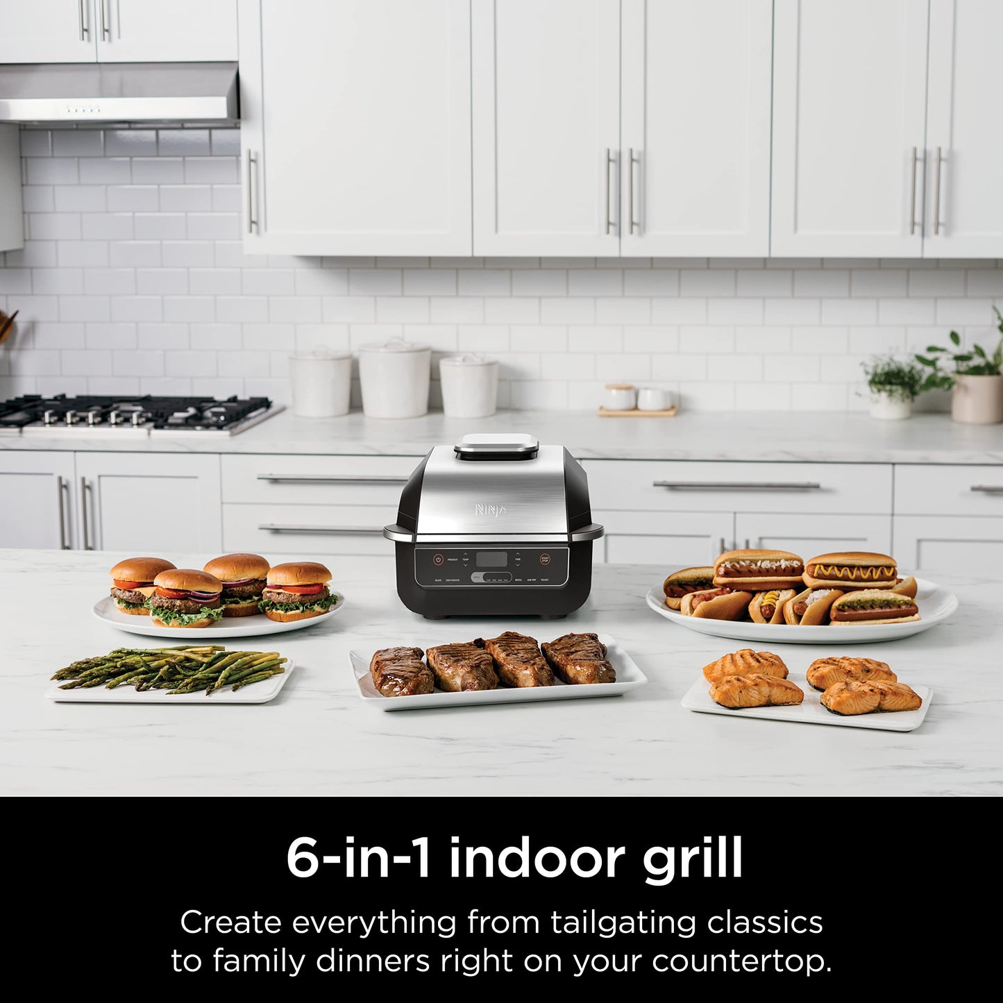 Ninja EG201 Foodi 6-in-1 Indoor Grill with Air Fry, Roast, Bake, Broil, & Dehydrate, 2nd Generation, Dishwasher Safe, Black/Silver