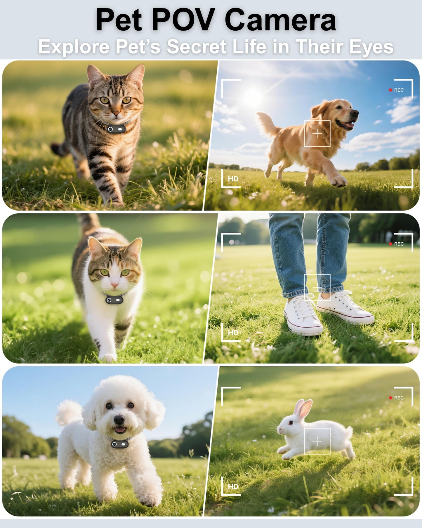 ZoomaraKam Cat & Dog Camera Collar with Phone APP, 1080P HD Video Recording Pet Camera Collar â Lightweight Pet POV Cam for Curious Cats & Adventurous Pups (XS-with Tracker)