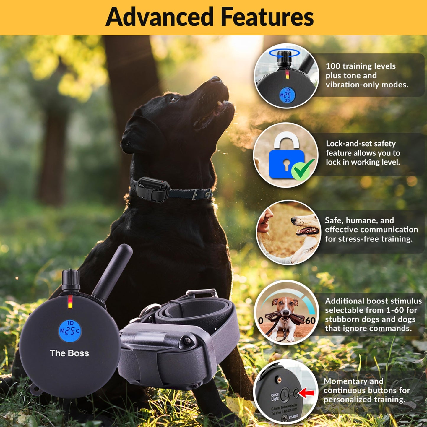Educator ET-800 “The Boss” Dog Training E-Collar with Remote–1 Mile Range, 100 Levels Stimulation,Waterproof & Rechargeable–For Med & Lg Dogs 15 lbs+–Night Tracking Light, Expandable to 2 Dogs,Black