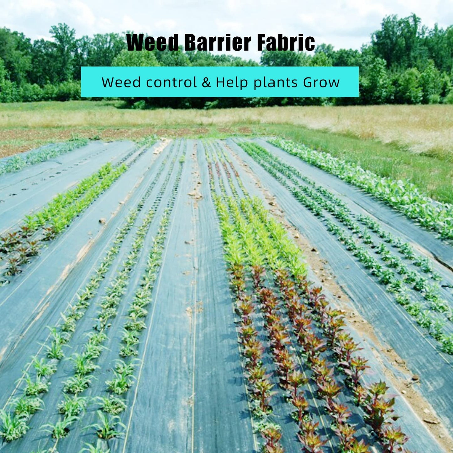 PeakPursuit 6ft x 300ft Premium Weed Barrier Landscape Fabric, 2.4 oz Heavy Duty, Weed Control Fabric, High Permeability, Good for Flower Bed, Driveway Fabric and Ground Cover