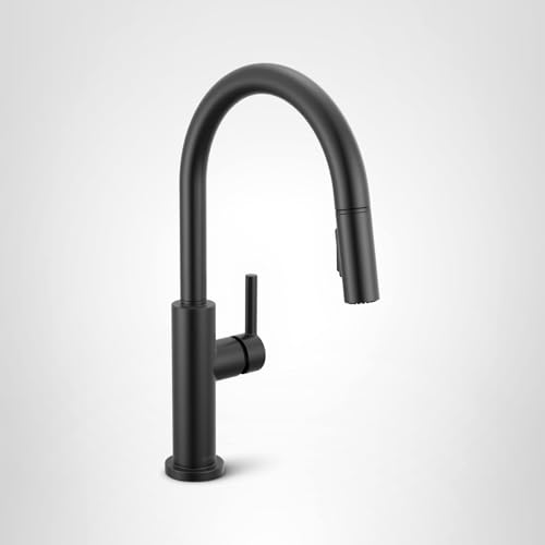 Delta Faucet Nicoli Kitchen Faucet with Pull Down Sprayer, Single Hole Matte Black 19867LF-BL