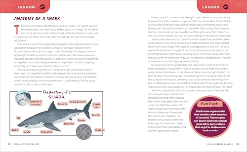 Ocean Activities for Kids: 20 Hands-On Projects to Explore the Sea (Science Scouts)