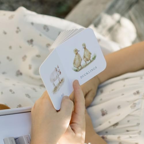 Our Very Little Library Board Book Set: A Foundational Language Vocabulary Board Book Set for Babies (Tabitha Paige Children's Book Series)