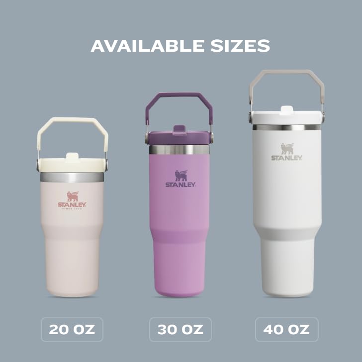 STANLEY IceFlow Flip Straw Tumbler with Handle 30 oz | Twist On Lid and Flip Up Straw | Leak Resistant Water Bottle | Insulated Stainless Steel |BPA-Free | Rose Quartz, Pack of 4
