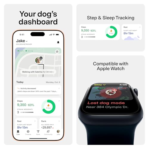 Fi New Series 3+ Smart Dog Tracker Collar [12 Month Membership Included] GPS Tracker for Dogs with Health & Behavior Monitoring, Escape Alerts, Waterproof, LED, Apple Watch Compatible (Blue, Large)
