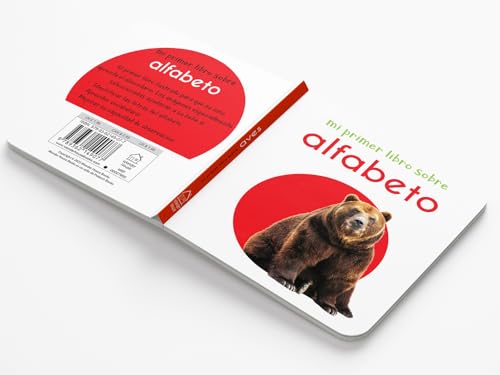 My First Learning Library Box of 20 Board Books - Spanish (Spanish Edition)