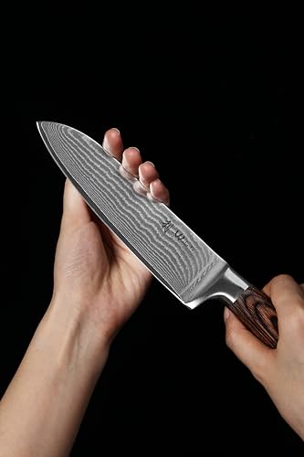 Wakoli EDIB 4-Piece Damascus Knife Set – Professional Chef Knives Set with VG10 Core Blades, 67-Layer Damascus Steel and Ergonomic Pakkawood Handles – Premium Kitchen Knives in Elegant Gift Box