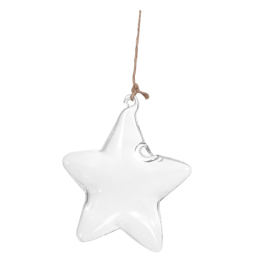 LIOOBO Terrarium Star Vase Elegant Hanging Planter for Home Office for Plant Lovers