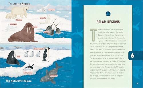Ocean Activities for Kids: 20 Hands-On Projects to Explore the Sea (Science Scouts)