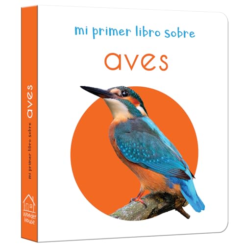 My First Learning Library Box of 20 Board Books - Spanish (Spanish Edition)