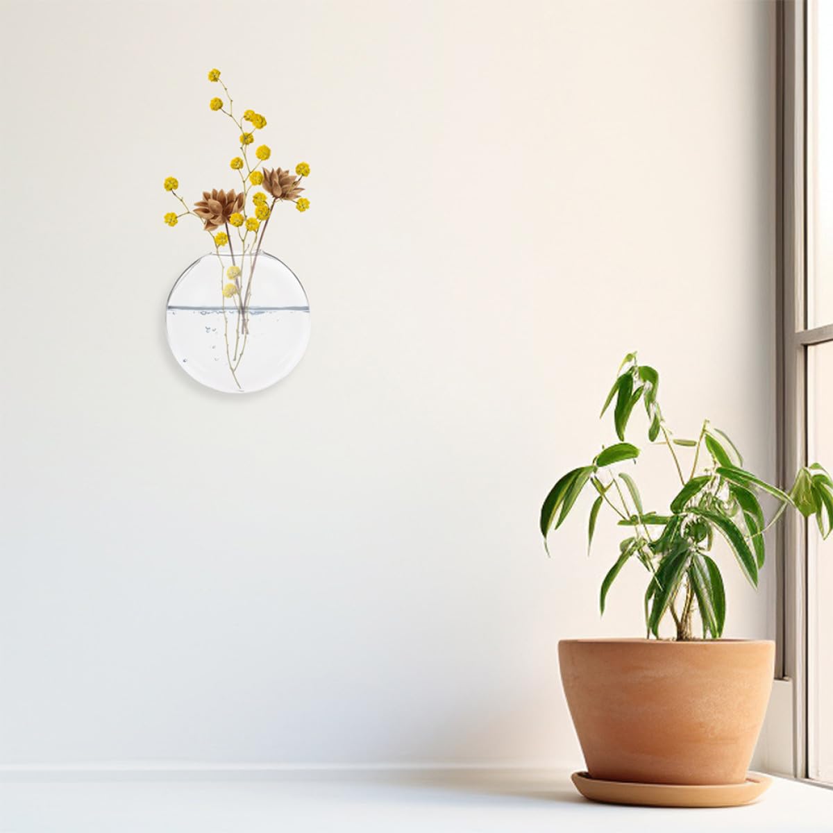 FOMIYES 4pcs Wall Mounted Hydroponic Glass Planter Vases, Hanging Terrarium Bottles for Indoor Plant Propagation and Home Décor