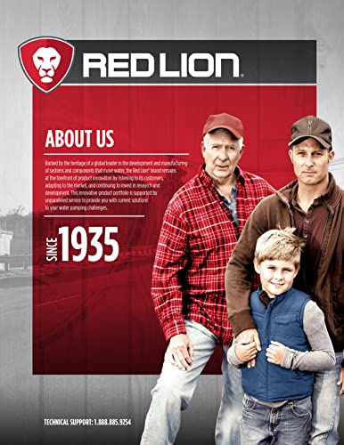 Red Lion RL-SC33DUP 115 Volt, 1/3 HP, 6000 GPH Dual Automatic Cast Iron Sump Pump System with 10-Foot Cord, Red, 14942771