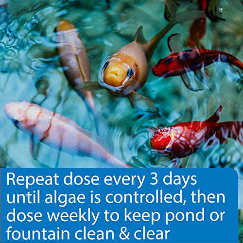 API POND ALGAEFIX Algae control 2.5-Gallon Bottle