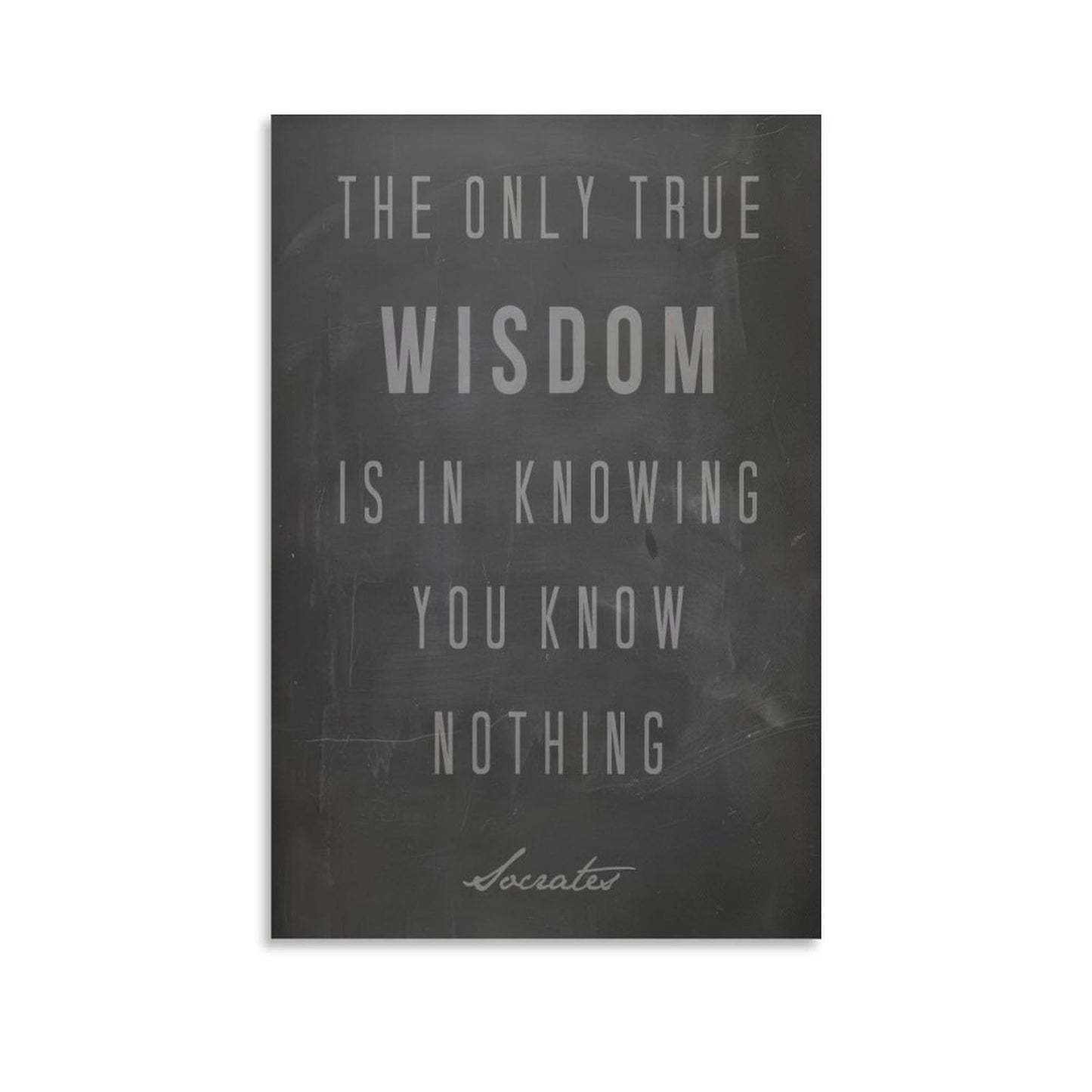 Minimalist Quote The Only True Wisdom Knowing You Know Nothing Canvas Printing Wall Art Prints Wall Decor Posters Scandinavian Bohemian for Living Room Bedroom Office Study 16x24inch(40x60cm)