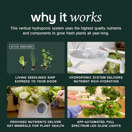 Lettuce Grow Farmstand Nook 4ft.7” Vertical Hydroponic Garden Tower - Self-Watering, Vertical Hydroponic Tower with LED Grow Lights, 20 Live Seedlings, Smart Timer - Indoor Vertical Growing Tower