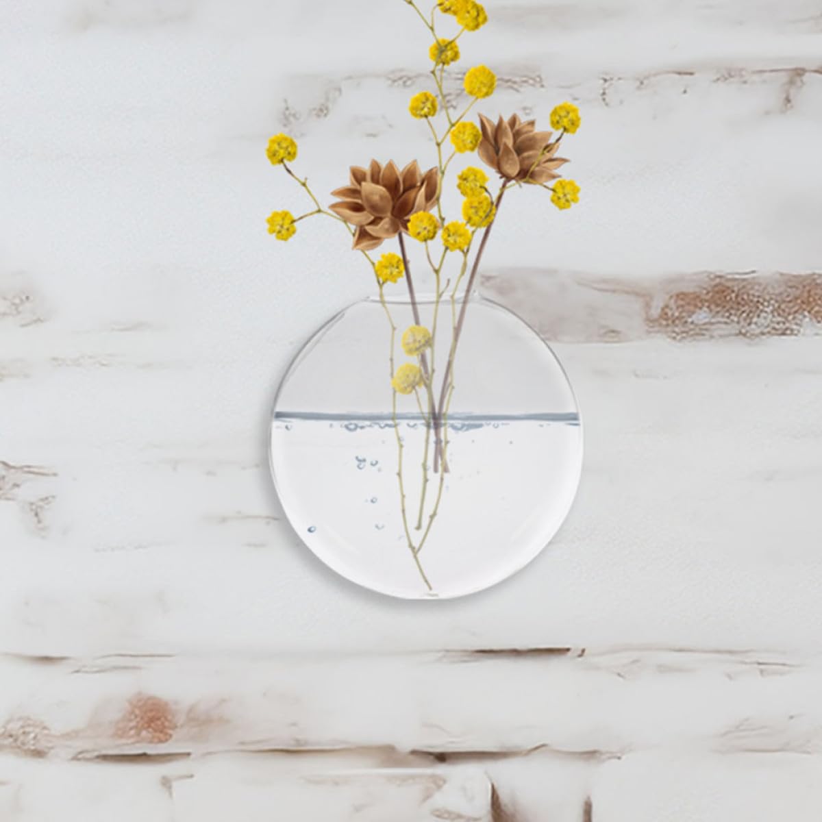 VALICLUD Glass Terrarium Hanging Vase Set, 2pcs Wall-Mounted Glass Containers for Indoor Hydroponic Plants, Decorative Hanging Pots for Home and Office