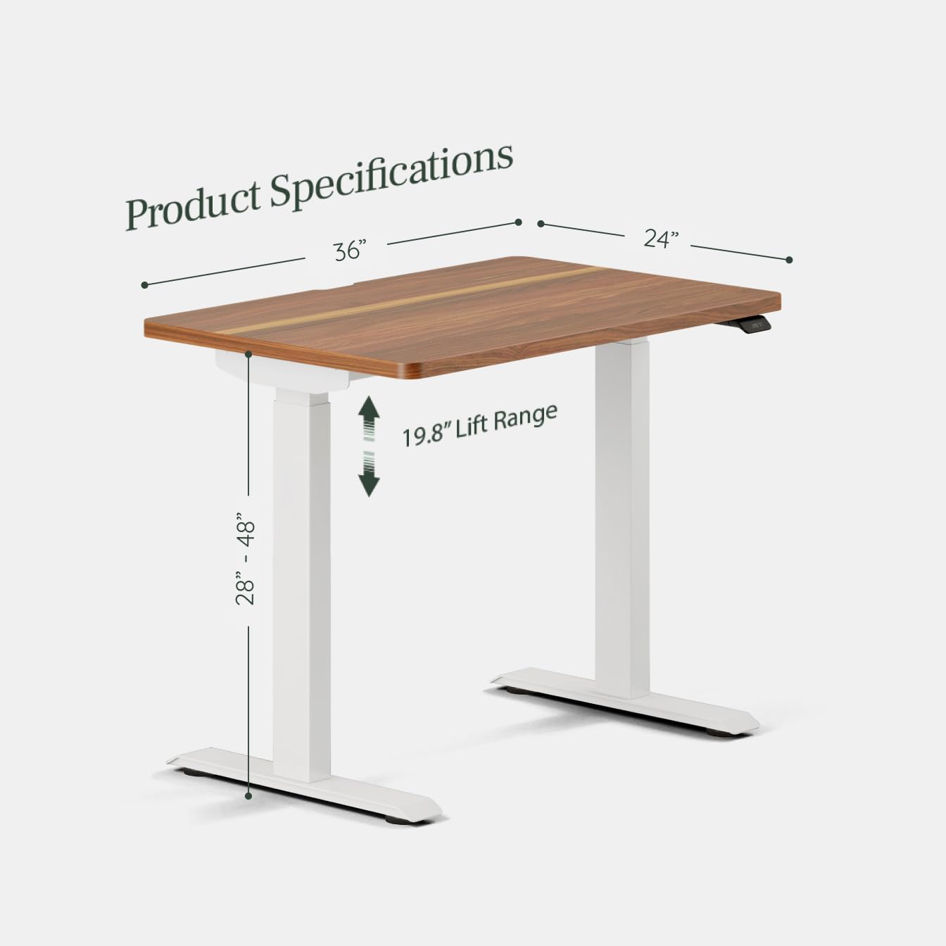 Branch Duo Standing Desk 36 Inches - Adjustable Standing Desk with 20” Range - OLED Control Panel - Frameless Design & Compact Size Suitable for Many Spaces - White Base - Walnut Top