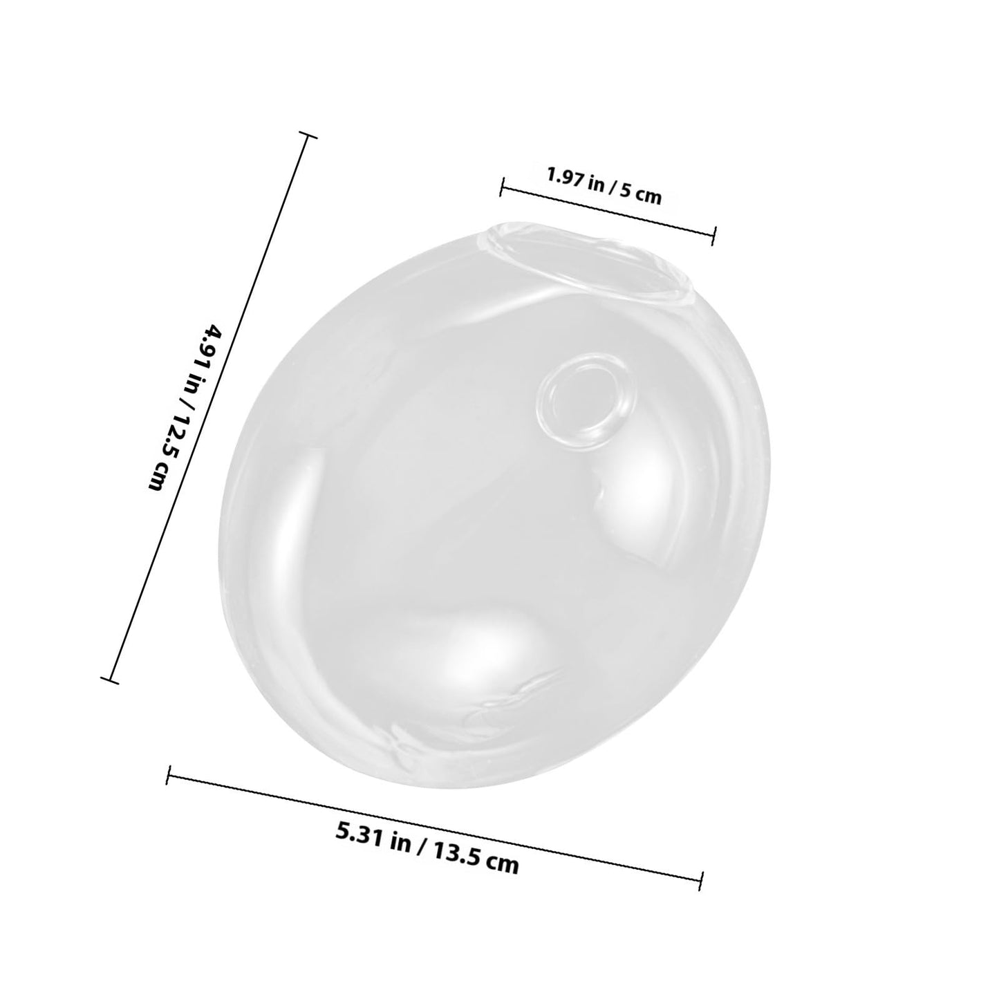NUOBESTY Wall Mounted Glass Planter Vase for Hydroponic Plants, Small Terrarium Pot for Air Plant Propagation and Home Décor, Single Hanging Glass Flower Vase