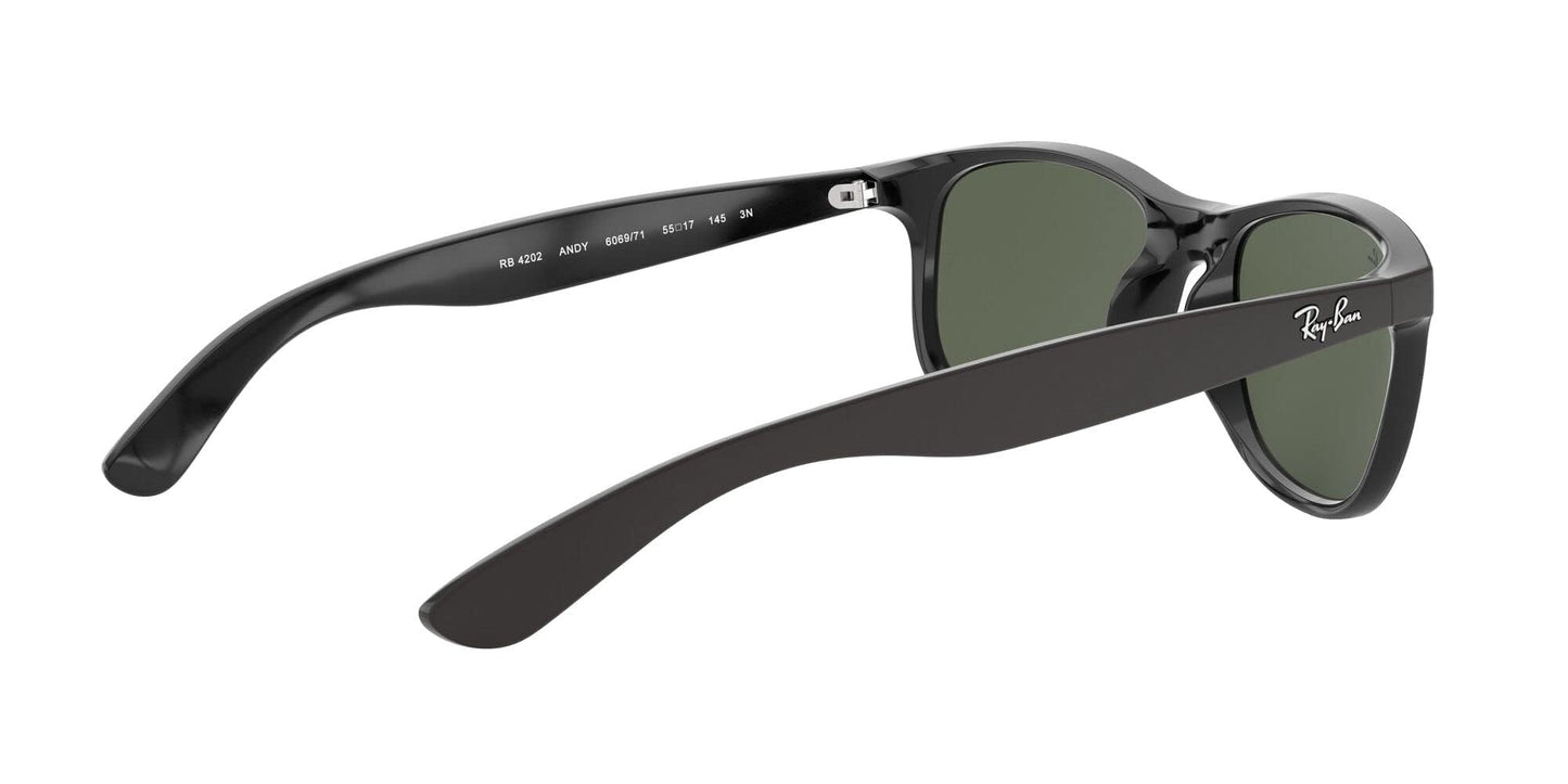Ray-Ban Unisex RB4202 Andy Rectangular Sunglasses, Matte Black On Black/Dark Green, 55 mm