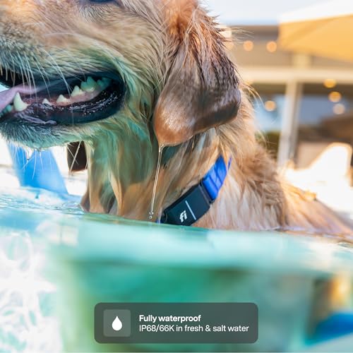 Fi New Series 3+ Smart Dog Tracker Collar [12 Month Membership Included] GPS Tracker for Dogs with Health & Behavior Monitoring, Escape Alerts, Waterproof, LED, Apple Watch Compatible (Gray, Medium)