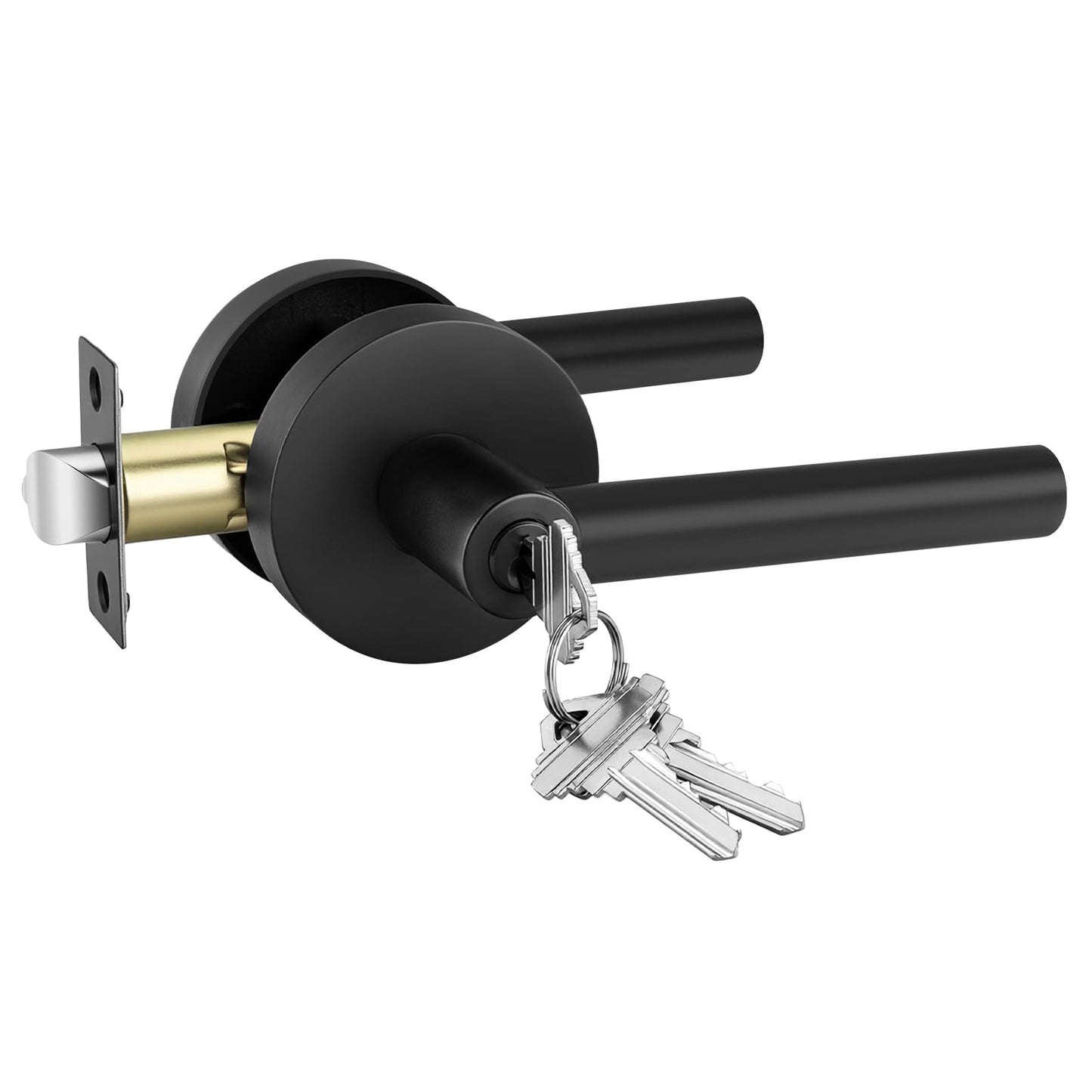 Goldenwarm Matte Black Entry Door Handle with Lock and Key, Zinc Alloy Exterior Door Handle, Balck Keyed Front Door Lever (1 Pack)