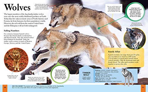 Children's Encyclopedia of Animals: Take a Walk on the Wild Side! (Arcturus Children's Reference Library, 3)