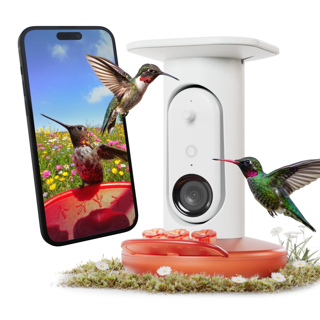 Birdbuddy Smart Non-Solar Pro Hummingbird Feeder with Camera - AI Bird Identification, 2K Video, 5MP Photos, Outdoor Hanging, Gift for Bird Watching