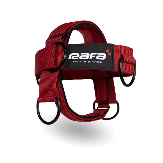 Iron Neck Neck Trainer, Exerciser, & Strengthener with Adjustable Head and Chin Strap - Portable Head Harness for Weight Lifting, Home, & Gym Use - Exercise & Workout Equipment (Rafa, Red)