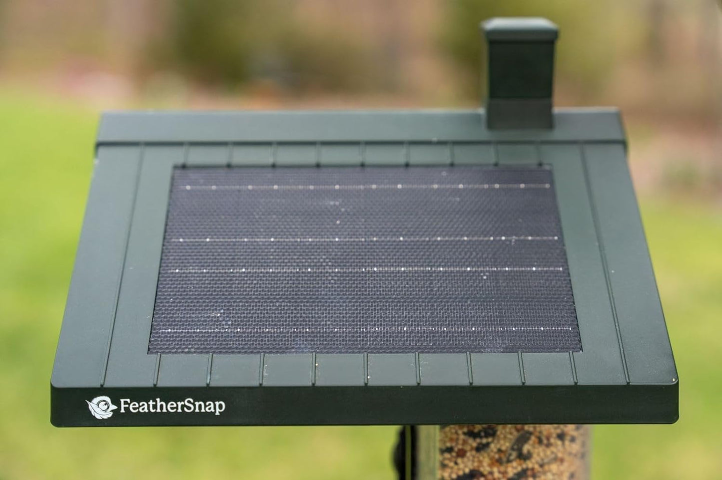 Bird Feeder with Camera with AI Identify Birds Species Solar Panel, Smart Bird House with Cam, 2K Live View, Instant Arrival Alerts, Dual Feeder, Includes Pole Stand