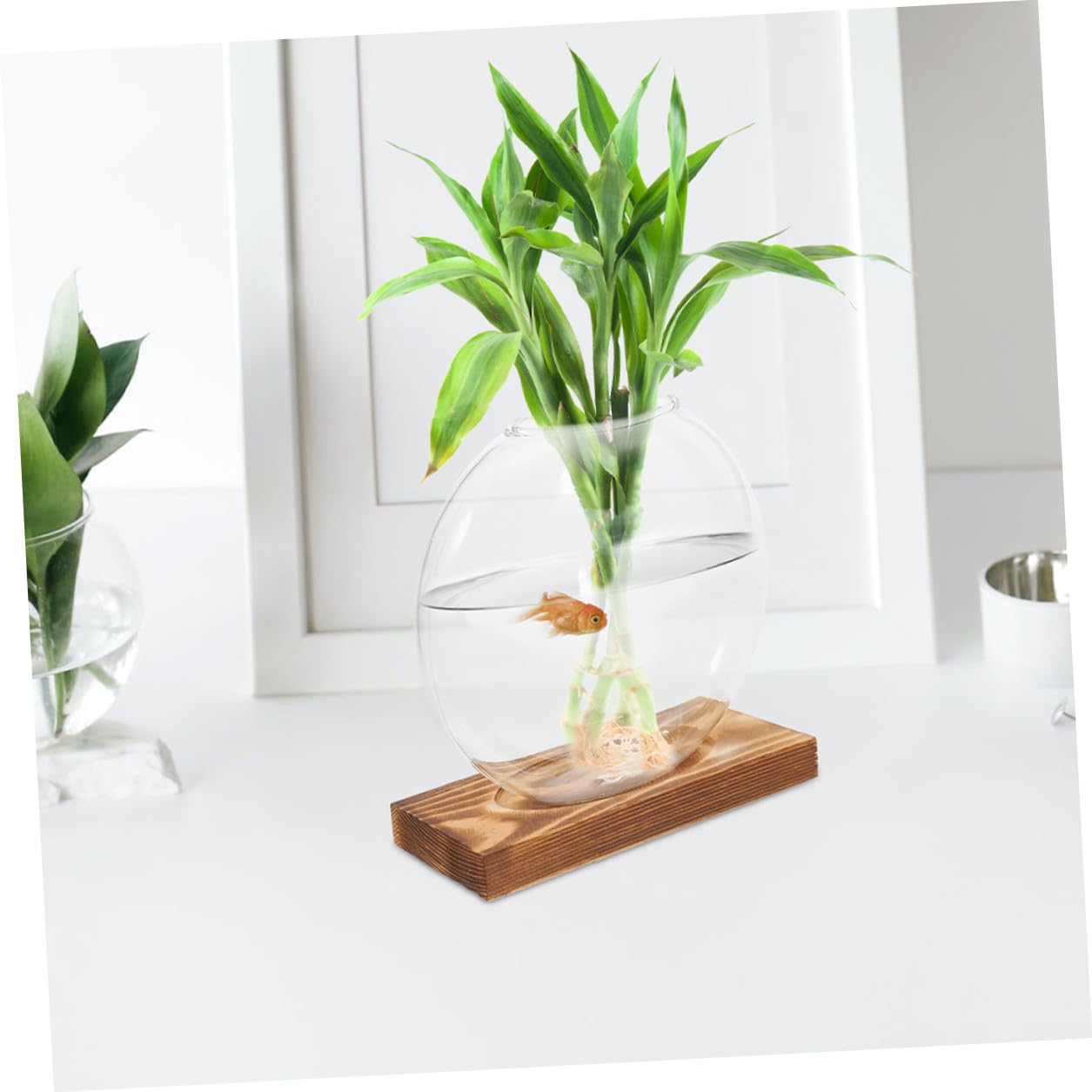 TINEASUR Propagation Glass Vase Set with Wooden Stand, Hydroponic Plant Holder for Indoor Desk, Desktop Planter for Root Observation and Plant Cultivation, 2pcs Home Office Terrarium