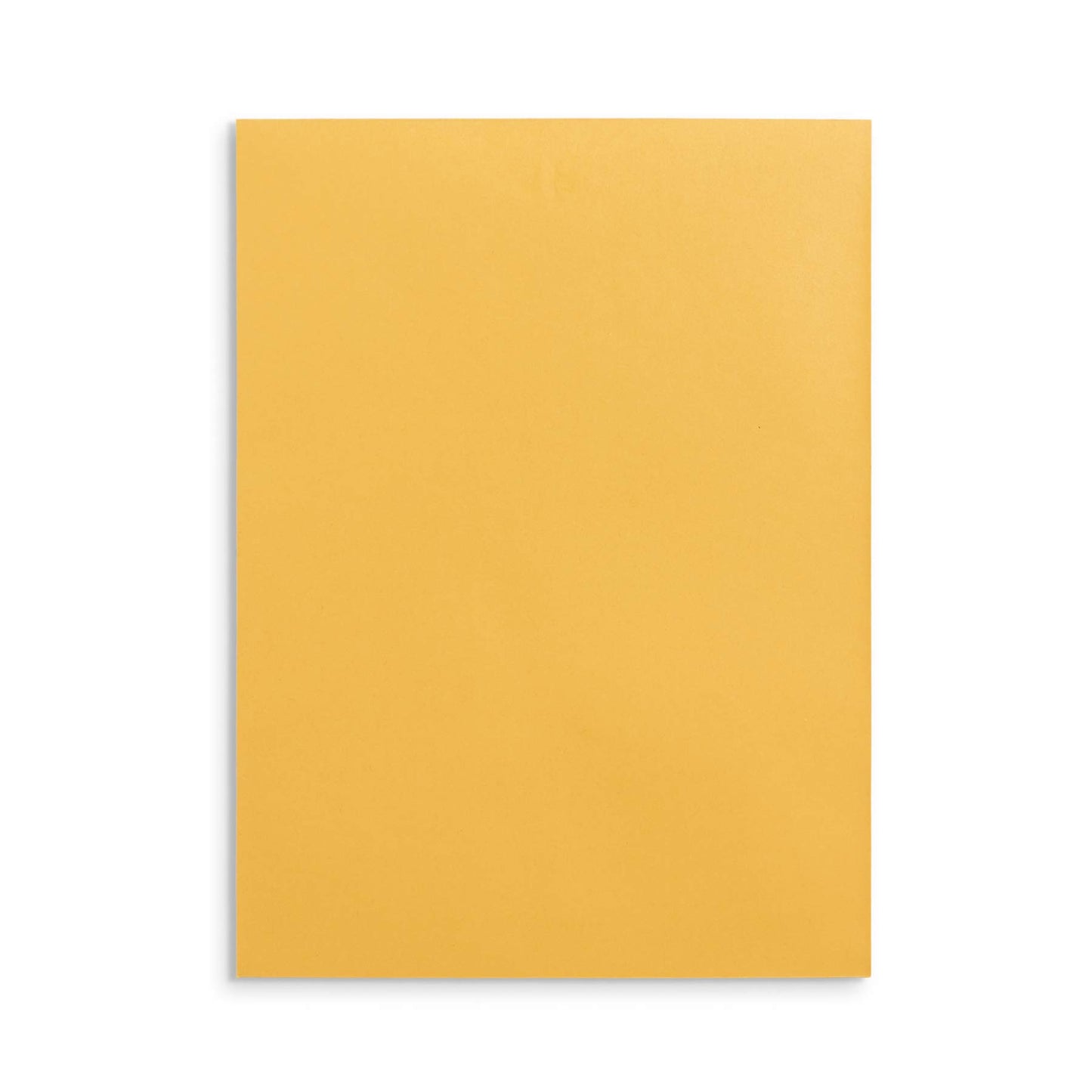 Blue Summit Supplies 100 9” x 12” Clasp Envelopes with Gummed Seal, Letter Size Clasp Mailing Envelopes Made From 28lb Kraft Paper, For Mailing Larger Papers or Magazine, Bulk 100 Pack
