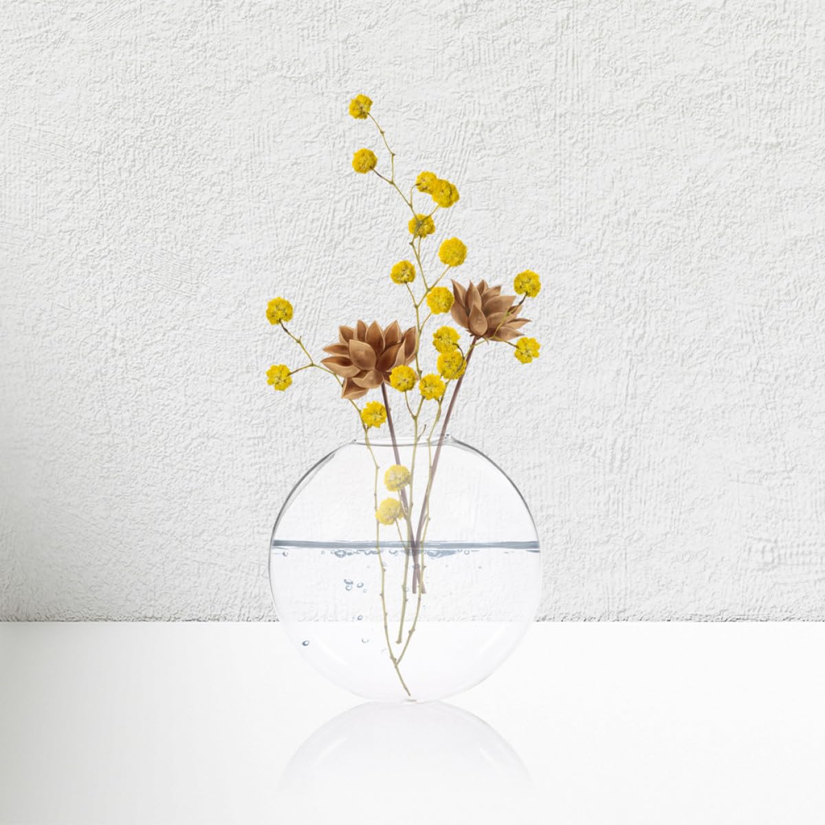 Ipetboom 6pcs Wall Hanging Hydroponic Glass Vases Small Plant Terrariums Indoor Decorative Glass Flower Pots for Home Décor