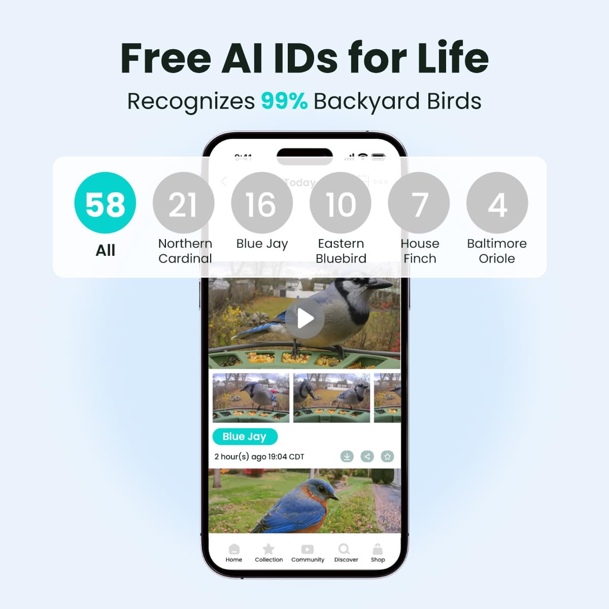 Birdfy 2 Smart Bird Feeder with Camera, AI Identifies Bird Species, 2K Dual-Lens + Side HD Camera for Live Streaming & Feeding View, Solar-Powered Backyard Birdwatching Gift Present