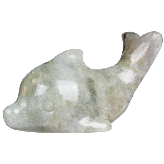 Hguxmcu Labradorite Crystal Dolphin Carving Hand Carved,1.8 Inch Dolphin Figurine Polished Gemstone Animal Sculpture Healing Stone Meditation Decor Gift Collection
