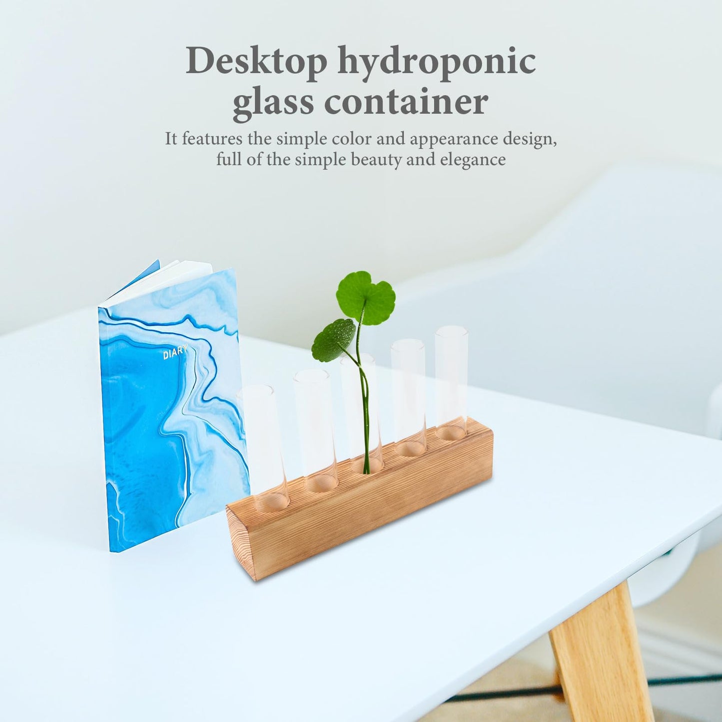 VICASKY Hydroponic Glass Vase with 5-Hole Wooden Stand, Tabletop Plant Propagation Station for Indoor Flower Plant Terrarium and Home Décor