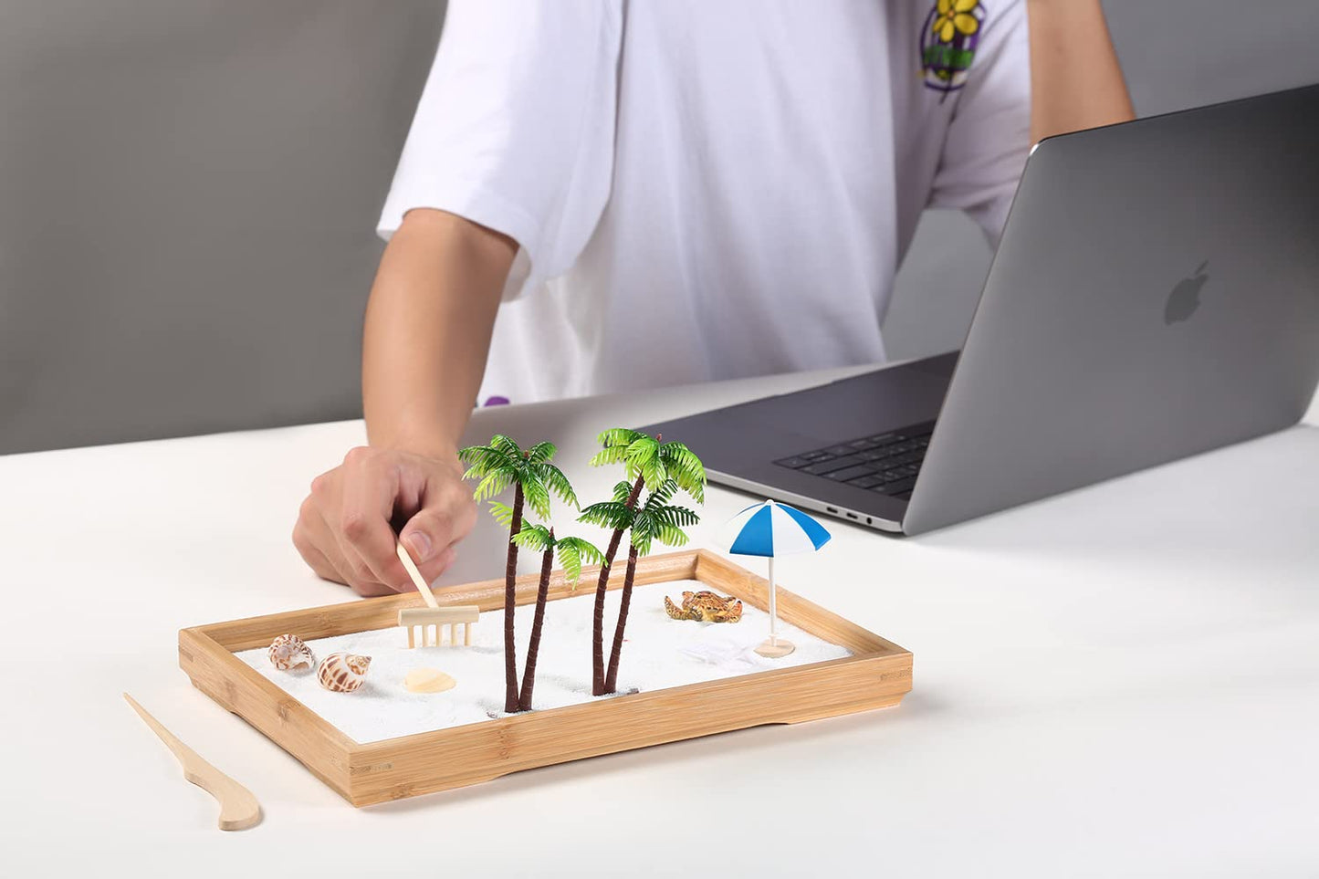 Japanese Zen Garden for Desk, Mini Small Beach Zen Garden Kit for Desk, Meditation Accessories Desktop Sandbox, Relaxing Claiming Gift for Man Women, White Sand with Wooden Tray, Z metnal, Not a Toy