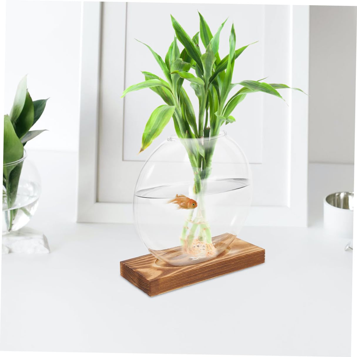 HOLIDYOYO 2pcs Hydroponic Glass Vases with Wooden Bases for Plant Propagation, Retro Terrarium Station for Home Office Desk and Balcony Plant Growing