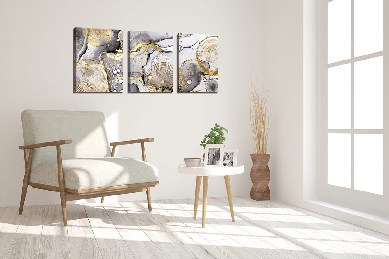 Gold Abstract Wall Art 3 Pieces Modern Framed Artwork Black and White Grey Gold Fluid Ink Annual Rings Pictures Canvas Prints Painting for Living Room Bedroom Kitchen and Office Wall Decor 12x16inx3