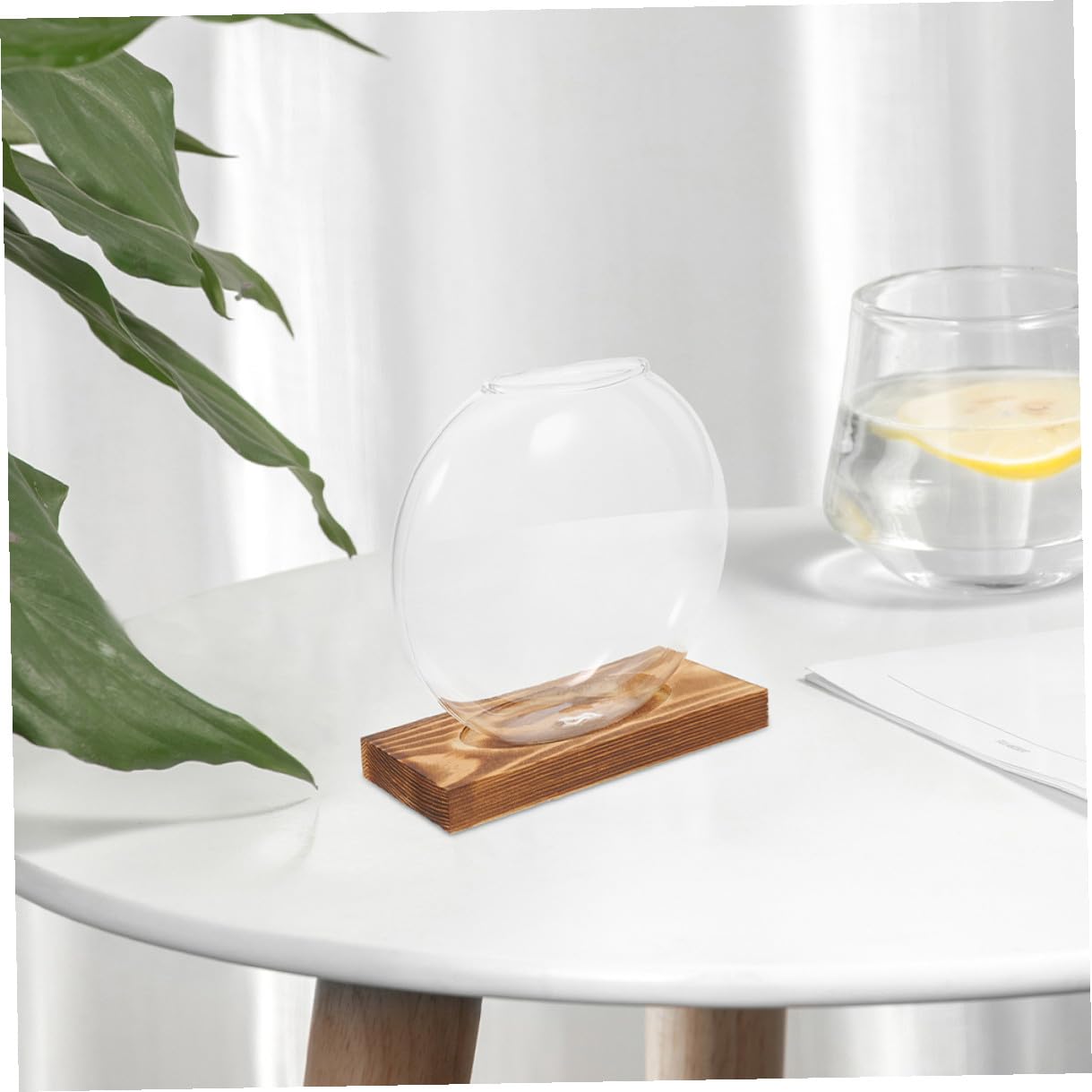 TOYANDONA 2pcs Hydroponic Glass Vases with Wooden Base, Small Plant Terrarium Pots for Indoor Propagation, Desktop Water Vase for Home Office Balcony