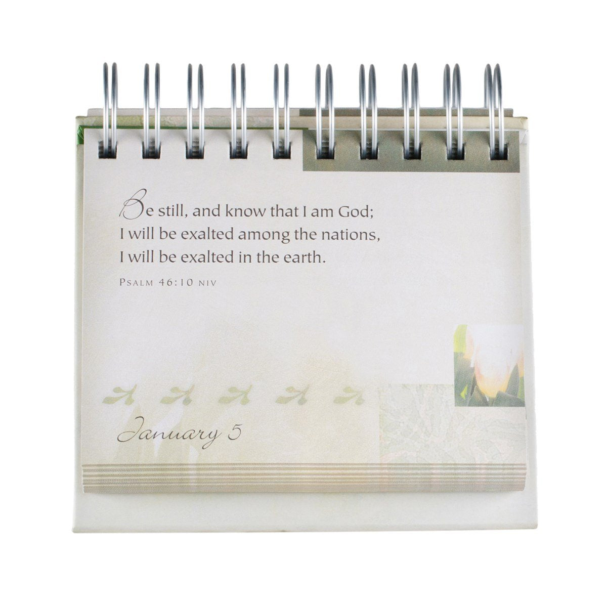 DaySpring - Promises & Blessings: Scriptures Verses for Every Day of the Year - Perpetual Calendar, 1.5" x 5.25" x 5.5" (16766)