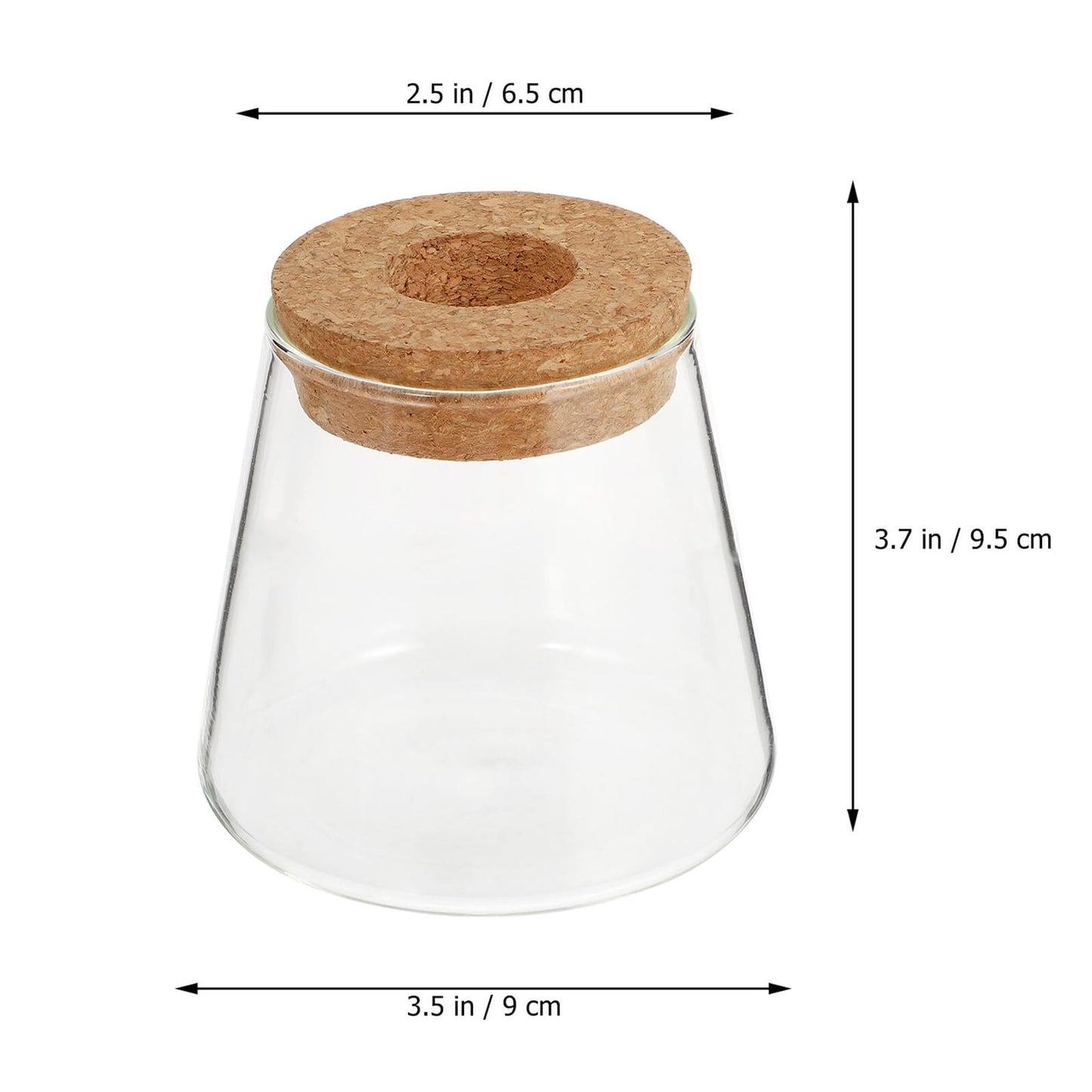 BESPORTBLE Glass Hydroponic Planter Vase 2pcs, 6.5cm Mouth Diameter Glass Plant Pots for Indoor Garden Decoration and Desktop Plant Propagation, Home Office Terrarium Environment